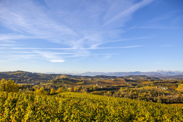 Fototapeta na wymiar Vineyard in autumn in Collio region, Italy