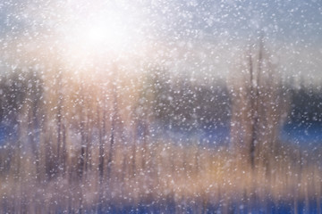 Obraz premium Blurred Christmas background snow in the woods.