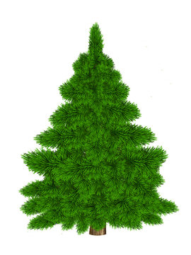 Christmas tree illustration, isolated on the white background