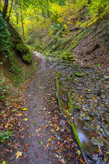Weg in die Ruppertsklamm