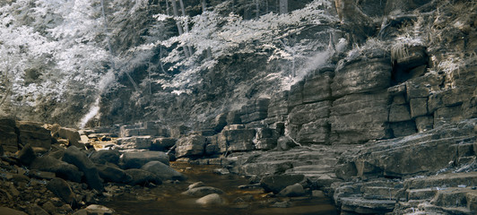 infrared landscape