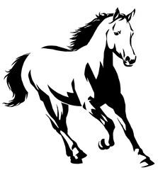 Obraz na płótnie Canvas black and white linear paint draw horse illustration