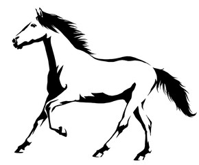 Obraz na płótnie Canvas black and white linear paint draw horse illustration