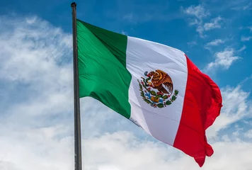 Foto op Plexiglas Vlag van Mexico over blauwe bewolkte hemel © javarman