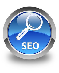 Seo glossy blue round button