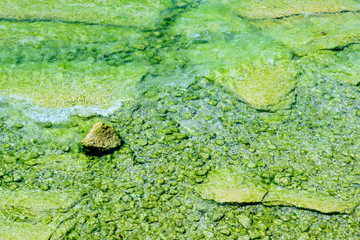 Stone in the water