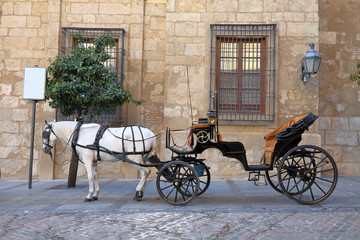 Fototapeta na wymiar Carriage of horses.Tourist carriage of horses that moves us for the streets of Cordova 