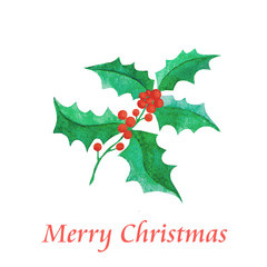 Fototapeta premium Watercolor holly with berries on a white background