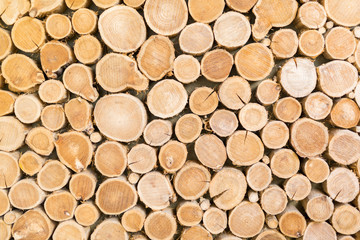 Wooden log texture