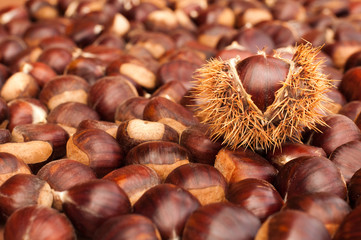 Chestnuts