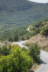 Winding road with mountains entirely covered trees on background