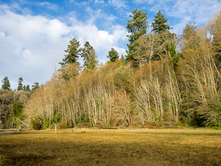 Budd Inlet Puget Sound