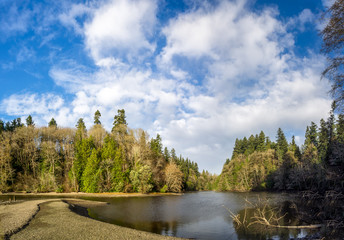 Budd Inlet Puget Sound