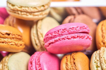 Colorful french macaroons in a box