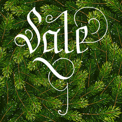Holiday gift card with hand lettering Sale on Christmas fir tree branches background. Vector illustration for your design