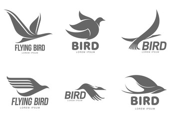 Set of black and white stylized logo templates with birds, vector illustration isolated on white background. Collection of abstract black and white bird symbols and logo design elements