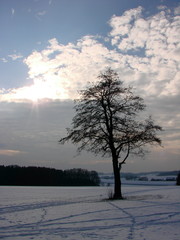 Winterstimmung in Oberbayern