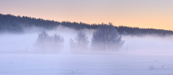 Winter sunrise in frosty morning