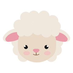 cute little sheep animal character vector illustration design