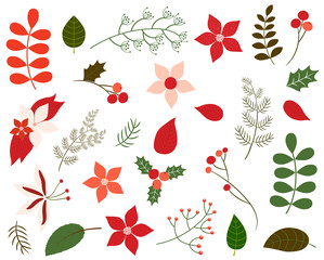 Christmas foliage collection in green and red colors - leaves, poinsettia, winter flowers and floral elements