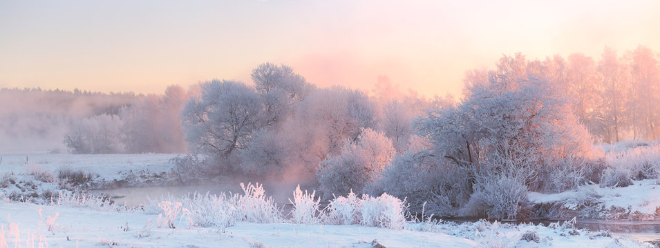 Bright winter sunrise. White frosty  trees in Christmas morning.