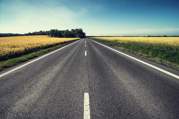 empty asphalt road and floral field of yellow flowers. 