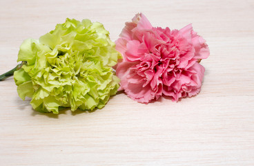 carnations pink flower on wooden desk and green leaf,pink and green flower