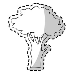 Tree icon. Nature plant spring natural and garden theme. Isolated design. Vector illustration