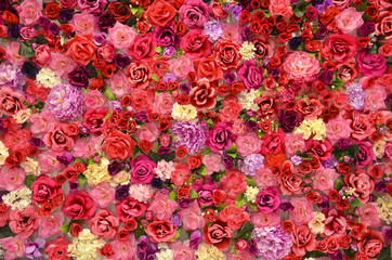 bright background of flowers of roses