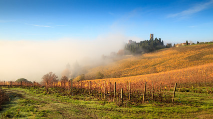 Chianti vineyard landscape in autumn with fog , Abbey of Passign