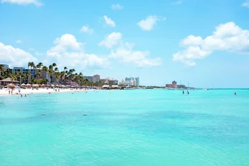 Crédence de cuisine en verre imprimé Plage tropicale Palm beach on Aruba island in the Caribbean Sea
