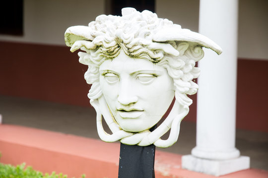 Faun