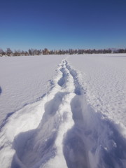Fototapeta na wymiar path winter landscape