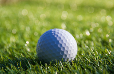 Golf ball on course and sunlight