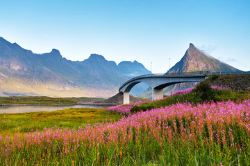 Norway sunny summer day. Bridge over the fjord.