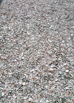 Oyster shell, Crushed oyster shell, Wallpaper