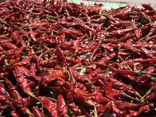 Dried chili