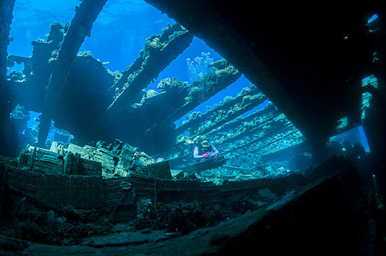 Scuba diver exploring the interior of a shipwreck called Chrisoula K in Abu Nuhas, Red Sea. 