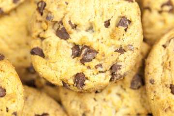 Close up of freshly baked chocolate chip cookies