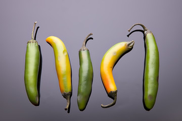 Five Jalapeno peppers laid out.