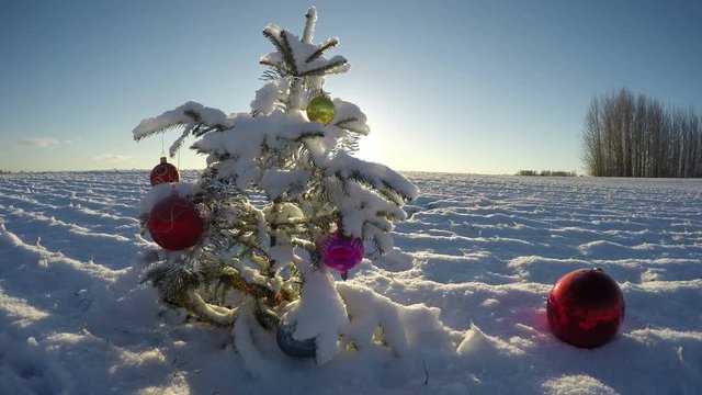 Beautiful Christmas tree with bauble on snowy new year field and winter sunlight, time lapse 4K