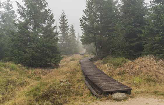 Wooden path in Jizerske hory mountains