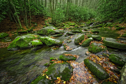 Fototapeta Middle Prong of the Little River, near Tremont, Great Smoky Mountains National Park, Tennessee, USA