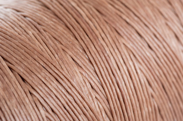 brown waxed thread