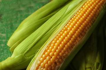 Fresh sweet corn on wooden background