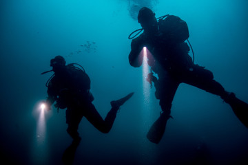 Divers in search of...