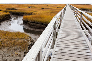 Wooden bridge with names leads into marshland
