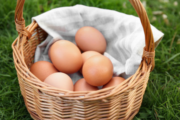 Raw eggs in basket on green grass background