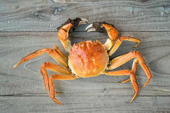 hairy crabs, chinese cuisine, autumn winter delicacy