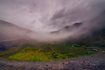 Forested mountain slope in low lying cloud with the evergreen conifers shrouded in mist in a scenic landscape view